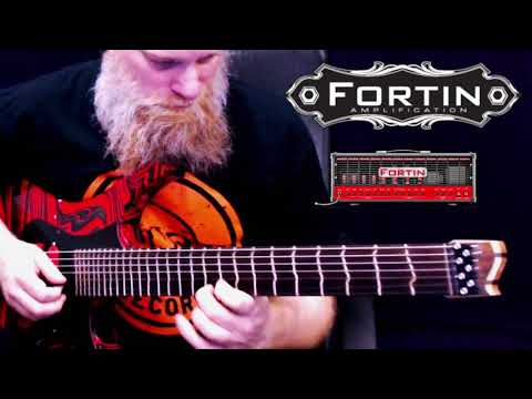 Testdriving the Fortin NTS Suite ampsim plugin