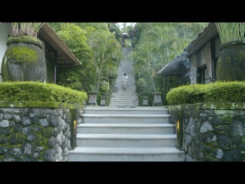 download lagu mp3 mp4 Darcy Wellness, download lagu Darcy Wellness gratis, unduh video klip Darcy Wellness