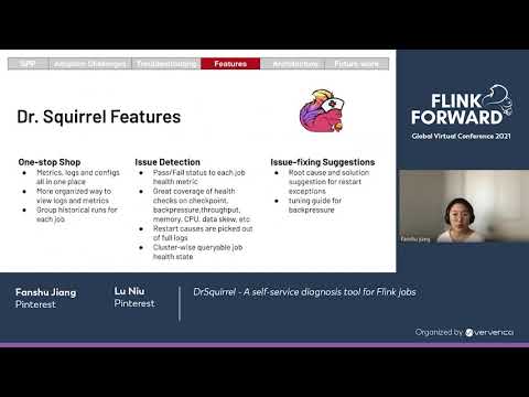 DrSquirrel - A self-service diagnosis tool for Flink jobs