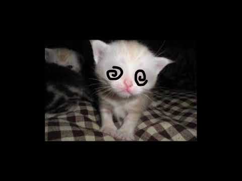 seenz x elliot - Anime Lepsze Niż Twoj Stary [NIGHTCORE]