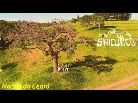 Clipe - No Sol do Ceará - Trio Siricutico