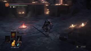 今更DARK SOULS3をはじめるオジサン達20251109
