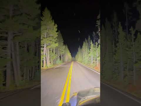 Want to spot that deer from a mile away? 🦌