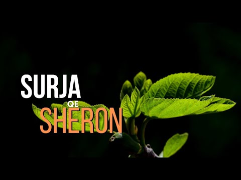 Shëroje Shpirtin dhe Trupin me këtë Sure!!!