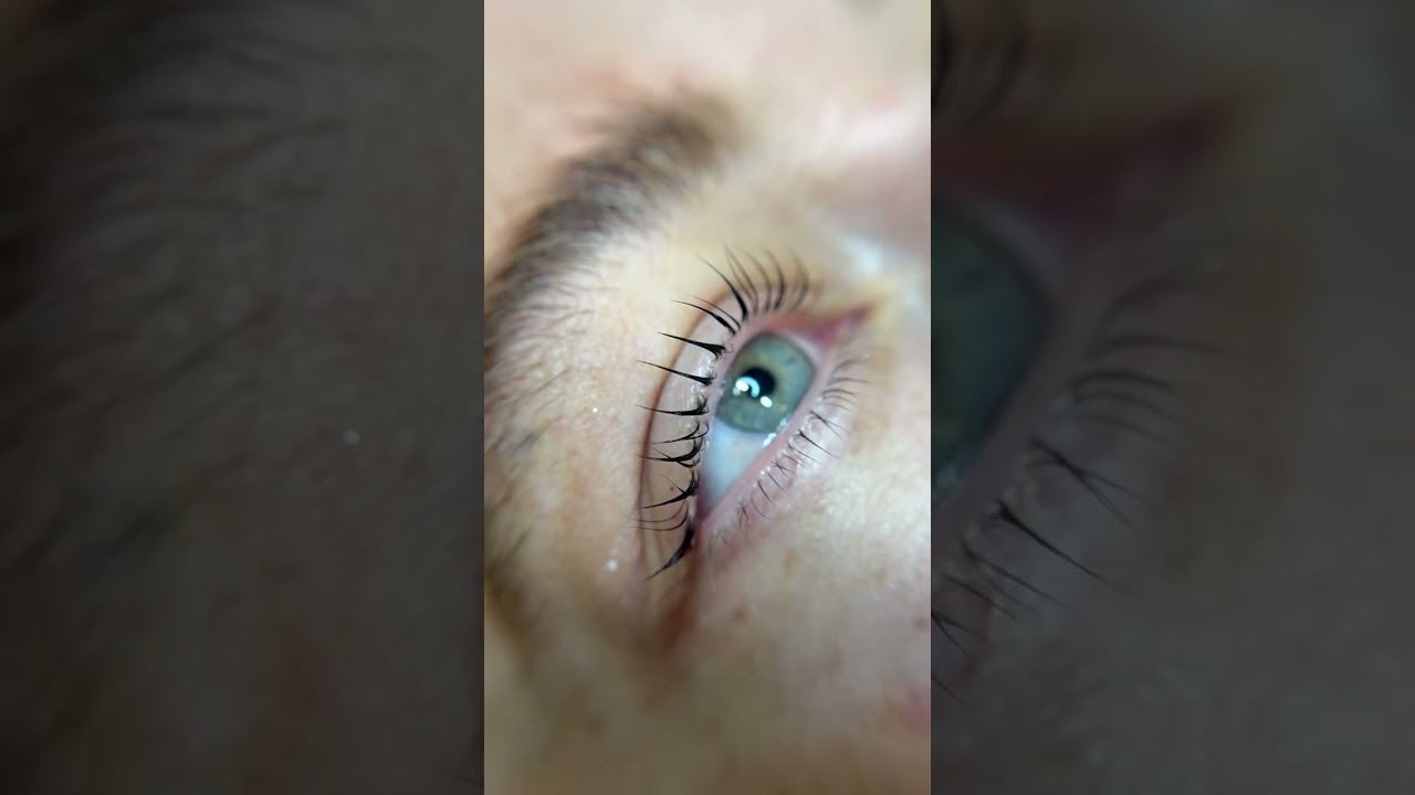 No Extensions, Just Lift – Lash Lift & Tint with Keratin at Brows Jungle