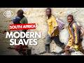 DEADLY ILLEGAL GOLD MINES In South Africa Report AT