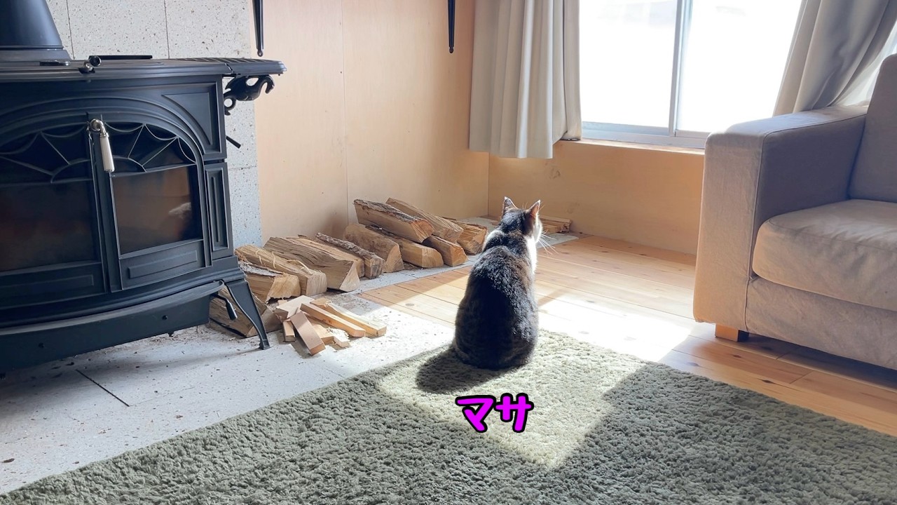猫と薪ストーブでごはん｜暖かい日差しと薪ストーブの灰で雪を解かす