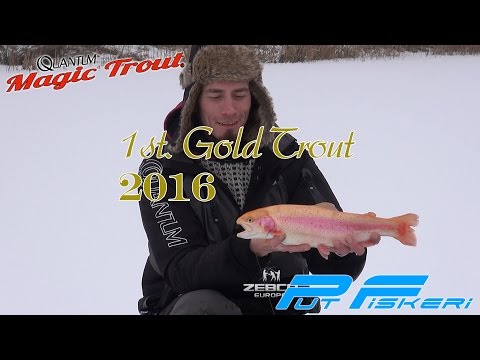 1st. Gold 2016 – Guldørred gennem isen