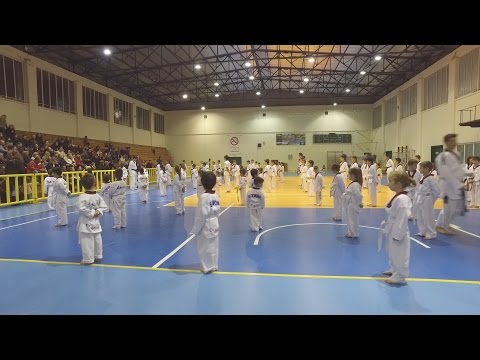 Taekwondo education school  "In Action"