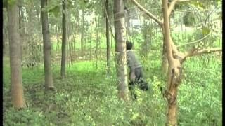 William Blake The School Boy