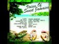 The Voices Of Sweet Jamaica All Stars Megamix