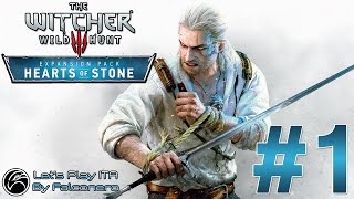 The Witcher 3 HEARTS OF STONE Gameplay ITA [#1] Il Principe