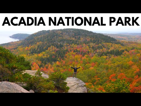 36 Hours in Acadia National Park: Beehive Trail, Jordon Pond, Cadillac Mountain Sunrise & More
