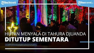 Wisata Hutan Menyala di Tahura Viral di Media Sosial, Kini Harus Ditutup Sementara