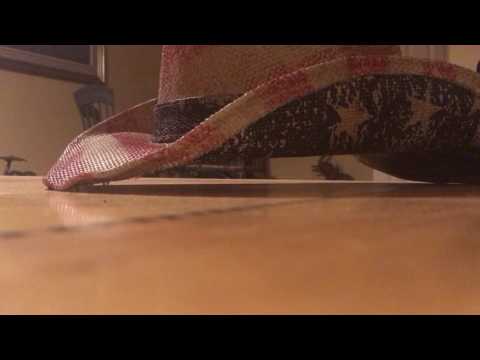 The Message Of Enlightenment