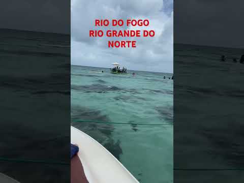 Rio do Fogo - RIO GRANDE DO NORTE #shorts
