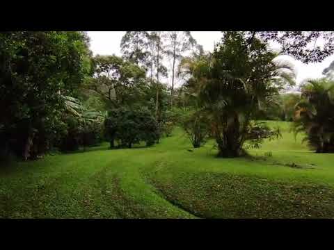 Imagen de Venta de Lotes y Terrenos en San rafael - Poás San Rafael - ALAJUELA