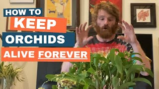 Never Be Afraid To Buy An Orchid Again! Simple Way To Keep An Orchid Alive FOREVER!!!