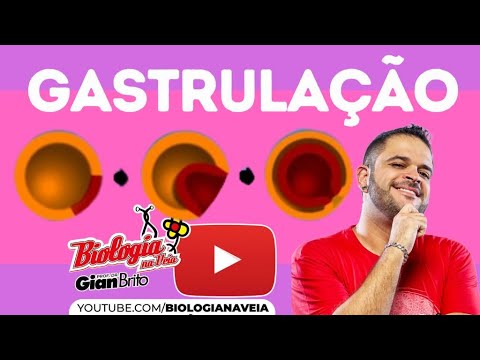 Gastrulation - Embryology