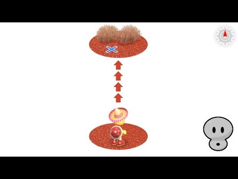 Found With Wooded Kingdom Art | HINTS Then Solution (Super Mario Odyssey)