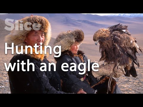Mongolia: The relationship between Kazakhs and eagles | SLICE