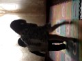 KAMILE POSE POSE