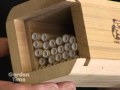 Mason Bees Mason Bees