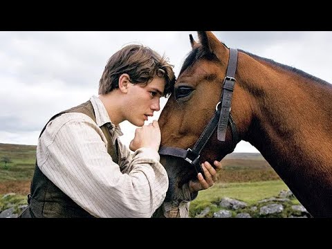 War Horse Full Movie Facts & Review in English /  Emily Watson / David Thewlis