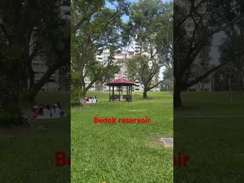 Bedok reservoir walking tour |4k #walkingtour #park
