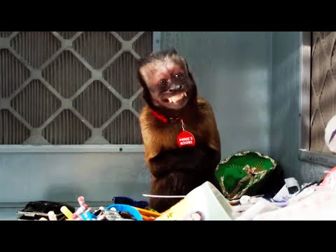 community but the plot twists keep getting more unhinged | Comedy Bites