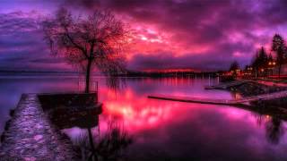 The Solid Doctor - A Benign Chorus (1996)