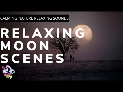 Relaxing Moon Scenes Meditation Star Gaze Sleep Sounds Space Galaxy Nature Yoga Love Calm
