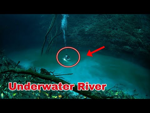 Cenote Angelita - Underwater River, Mexico ????????
