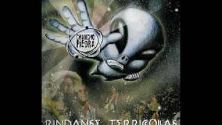 chancho en piedra - oshcokota.