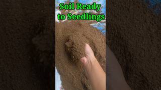 how to prepare soil for seedling #youtubeshorts #soil