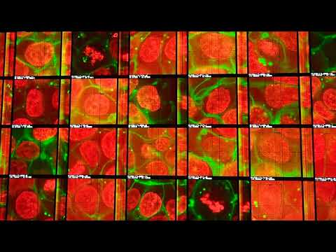 data-verse 1 by Ryoji Ikeda @ The 58th International Art Exhibition, Venice