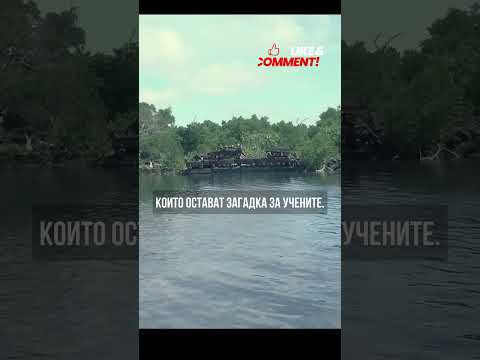 Нан Мадол - Древният Град на Магьосниците и Проклятията в Микронезия