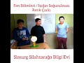 Renk Çarkı