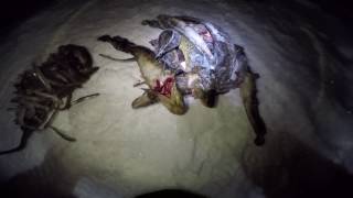 Ночная рыбалка зимой на налима
