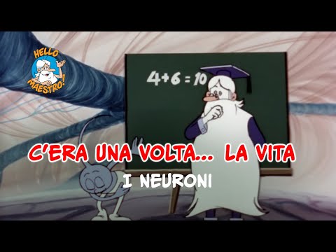 Siamo fatti così... la vita 🌱- Neuroni 💭