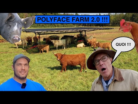 Le Joel Salatin QUÉBÉCOIS !!! | Ferme La