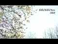 Bulbul Bulbul Maine Cover