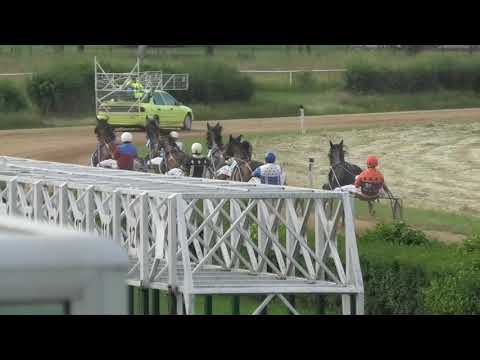 Trka "Viminacijum" 06.06.2021 Saphir AT - Miodrag Pantić