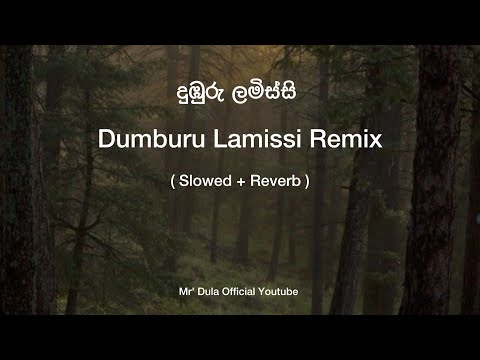 Dumburu Lamissi Remix ( slowed & Reverb ) Full Song