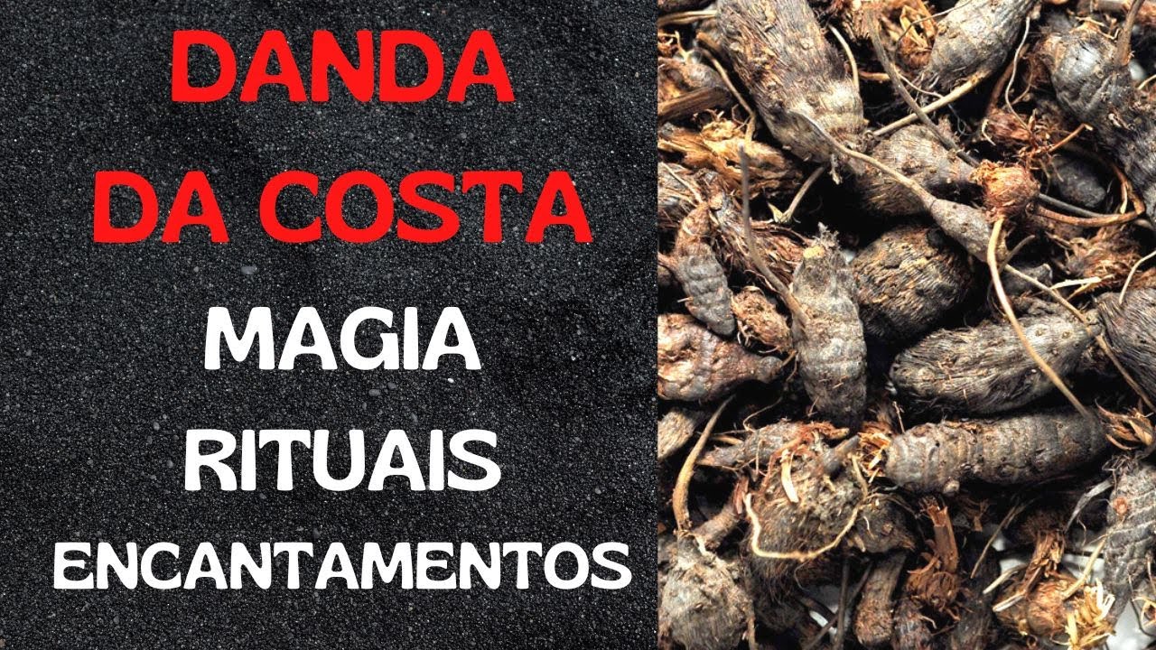 DANDA DA COSTA FAÇA GRANDES MAGIAS COM ELE