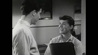 Cat Power - Nude as the News