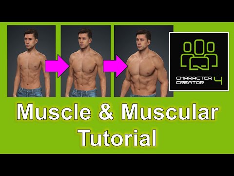 Muscular Strong Muscle Tutorial for CC4 Character Creator 4 #tutorial #cc4 #charactercreator #muscle