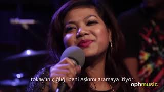 dengue fever | tokay