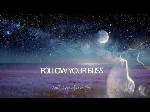 Follow You Bliss 🌕 Total Full Moon Eclipse in Virgo Meditation | Calm Whale