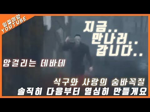 아이콘